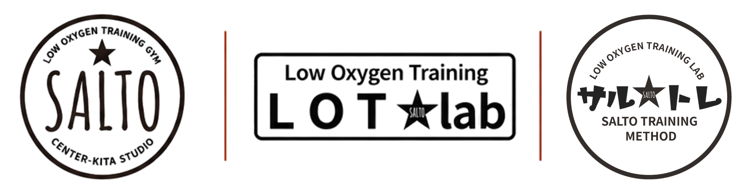 SALTO / LOT lab / サル★トレ ロゴ